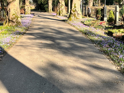 23-02-13 12-48-39 4184